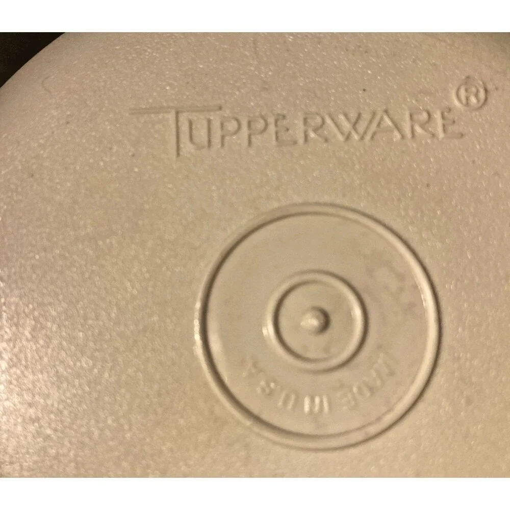 Vintage Tupperware Divided Party Tray Veggie Relish Fruit Dip Bowl 1666-1 1665-1